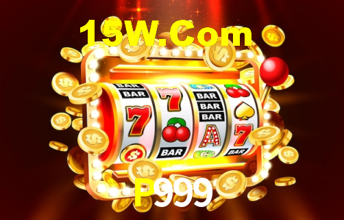 Premium Interface P999